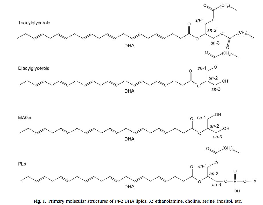 图片7.png 图片7.png