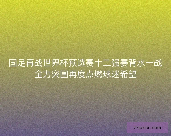 国足再战世界杯预选赛十二强赛背水一战全力突围再度点燃球迷希望