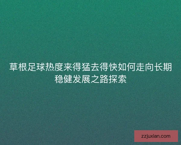 草根足球热度来得猛去得快如何走向长期稳健发展之路探索