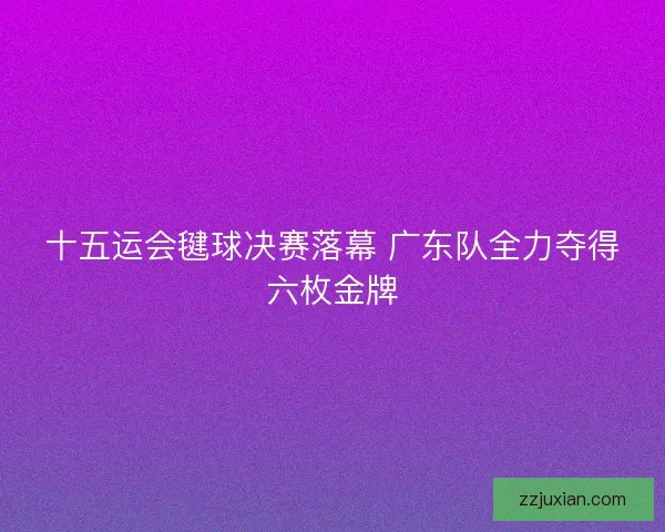 十五运会毽球决赛落幕 广东队全力夺得六枚金牌 十五运会毽球决赛落幕 广东队全力夺得六枚金牌